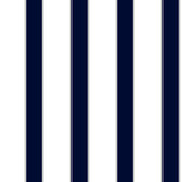 ZB3419 Boys Will Be Boys Navy-Alabaster Wallpaper