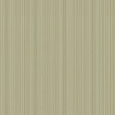 Texture Portfolio Stria Olive Wallpaper TT6317