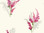 white & magenta & pink & yellow & green & green & grey Watercolors Delphinium Wallpaper