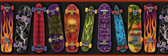 Chesapeake BYR92052B Gerry Black Skateboards Portrait Border