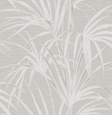 Song Grey Fountain Palm  wallpaper
