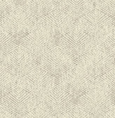 Fans Taupe Texture  Contemporary Wallpaper