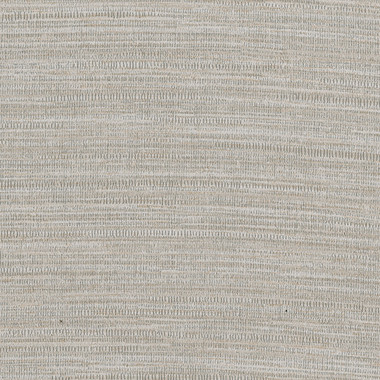 Texture Grey Zoster