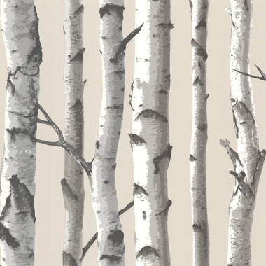 Tuxbury Beige Birch Tree Wallpaper