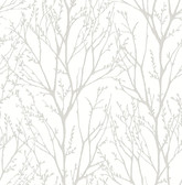 Autumn Silver Tree Wallpaper