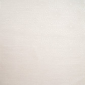 Y6220901 Circle Burst Wallpaper - Pearl