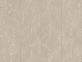 SD3756 Ronald Redding Designs Masterworks Springwood Wallpaper - Taupe
