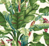 Ashford House AT7068 - Tropics Banana Leaf Wallpaper White