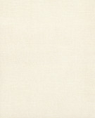 Raised Dots Wallpaper TN0040 - White