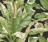 York Premium Peel and Stick PSW1035RL - Banana Leaf Wallpaper Black/Green