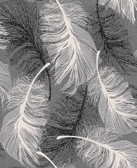 2814-M0925 Hurston Black Feather Wallpaper