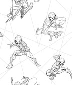 DI0940 Spider-Man Fracture Wallpaper