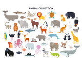 WALS0452 - Animal Collection Wall Mural