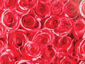 FAB12678 - Roses Adhesive Film
