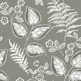 NUS3143 - Grey Foliage Peel & Stick Wallpaper