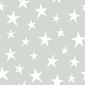NU1932 - Stardust Grey Peel & Stick Wallpaper