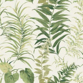 RMK11428M - FERN FOREST PEEL & STICK WALLPAPER MURAL