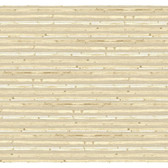 Beige Book Woven Bamboo Wallpaper - AC6099