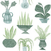 PSW1249RL - Plant Party Peel and Stick Wallpaper