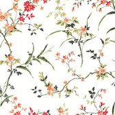 BL1741 - White & Red Blossom Branches Wallpaper
