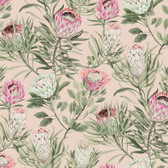 BL1751 - Blush Protea Wallpaper