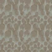 Y6230104 - Feathers Wallpaper