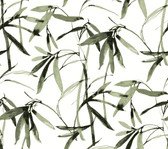 BW3842 - Green & Black Bamboo Ink Wallpaper