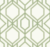 TC2631 - Green Sawgrass Trellis Wallpaper