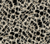 HO2162 - Leopard Rosettes Wallpaper
