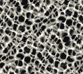 HO2164 - Leopard Rosettes Wallpaper