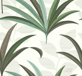 CA1553 - El Morocco Palm Wallpaper