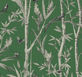 RT7831 - Green Bambou Toile Wallpaper