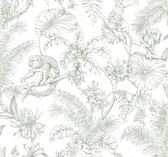 RT7842 - Forest Tropical Sketch Toile Wallpaper