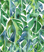 RMK11813WP - CAT COQUILLETTE PHILODENDRON PEEL & STICK WALLPAPER