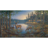LAKE FOREST LODGE QUIET PLACES MURAL-MULTI