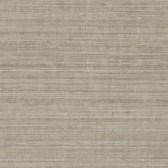 ND3072N - Brown Tasar Silk Wallpaper