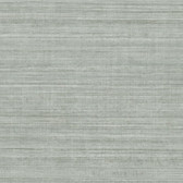 ND3073N - Grey Tasar Silk Wallpaper