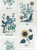 RP7335 - Botanical Prints Wallpaper