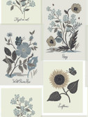 RP7336 - Botanical Prints Wallpaper