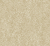 TC2681 - Leopard King Wallpaper