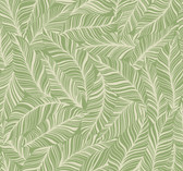 TC2717 - Rainforest Canopy Wallpaper