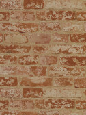 BZ9206 - Red & Taupe Up the Wall Wallpaper