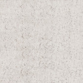 EV3901 - Pale Grey & Silver Cork Wallpaper