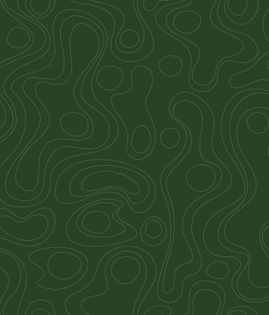 Lineation symbolizes the interconnectedness within us, where our past experiences shape our present. This serene design, reimagined from one of Emily Shaw's (@emilyrayna) past projects, features organic geometrics atop a green backdrop. Green Lineation Peel and Stick Wallpaper comes on one roll that measures 20.5 inches wide by 18 feet long.