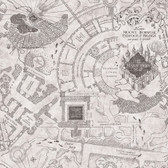 RMK12437RL - Harry Potter Marauder's Map Grey Peel & Stick Wallpaper