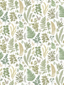 2821-SM25155 - Britta Green Herbs Wall Mural