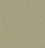 2972-86143 - Yanyu Sage Paper Weave Grasscloth Wallpaper