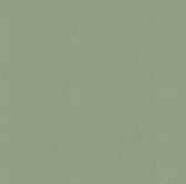 2971-86313 - Meade Green Fine Weave Wallpaper