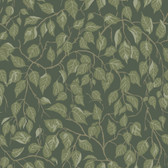 4201-20108 - Hängbjörk Evergreen Vine Wallpaper