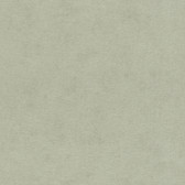 4202-408171 - Cullen Sage Faux Linen Wallpaper